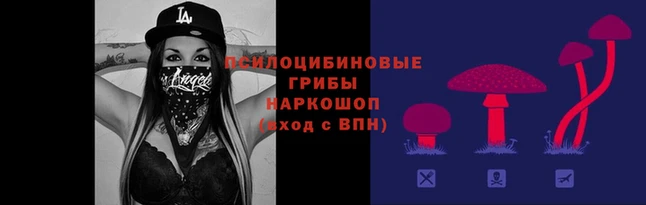 a pvp Абдулино