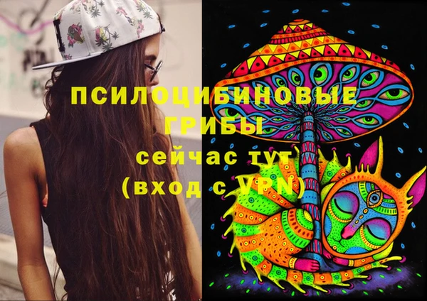 a pvp Абдулино