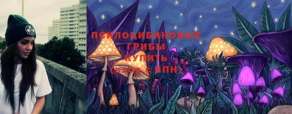 тгк Абаза