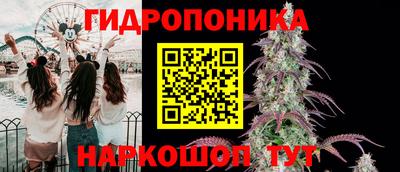 стафф Ефремов
