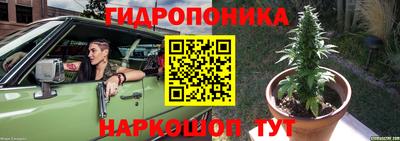 стафф Ефремов