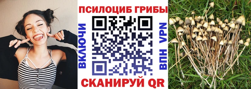 ссылка на мегу как зайти наркотики Смоленск Галлюциногенные грибы Magic Shrooms